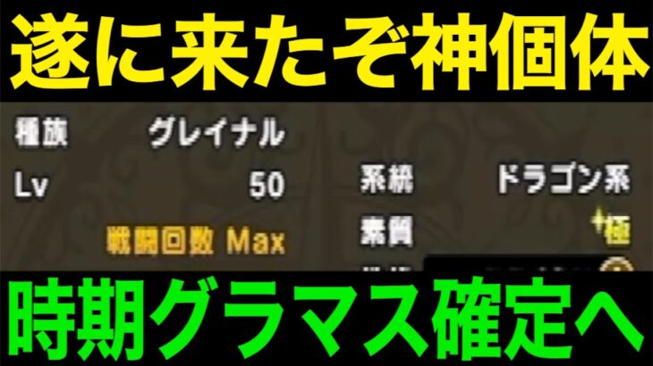 モングラ勢震えろ…私が来た！！！！【ドラクエウォーク】【ドラゴンクエストウォーク】