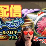 「トレクル」トレジャーマップ！最終日周回生配信！【VSドリー＆ブロギー】