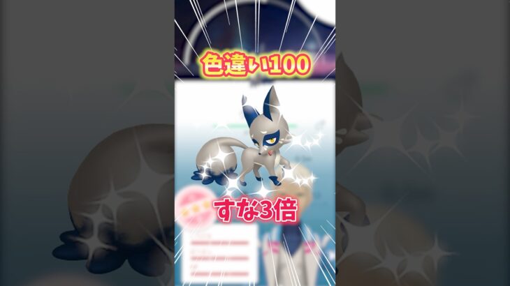 【ポケモンGO】色違い100！？すな3倍のクスネコミュニティデイガチるぞ！#pokemon #色違い #shorts