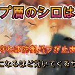 これがシロの本当の使い方？トップ層の耐久編成を見ていく【メメモリ】
