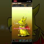 #パズドラ #ガチャ動画 #トランプキングダム