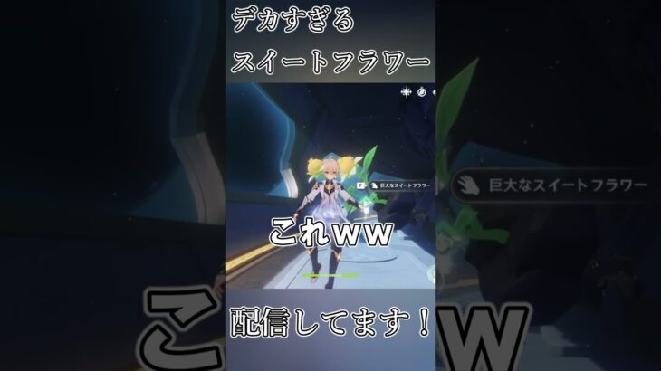 デカすぎるスイートフラワーｗｗ #原神 #genshinimpact #shorts