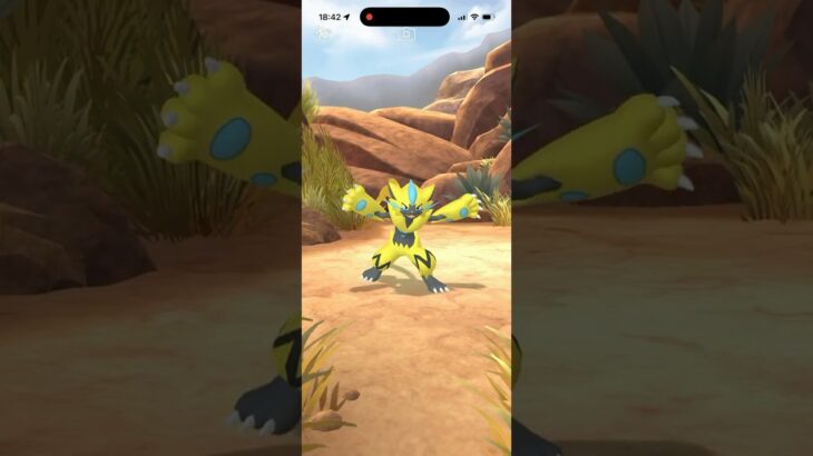 【ポケモンGO】スペシャルリサーチゼラオラGET！個体値確認 #ポケモン #pokemon