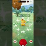 【ポケモンGO】色違いPWCSピカチュウ、ゲットだぜ！＃ピカチュウ #shinypokemon