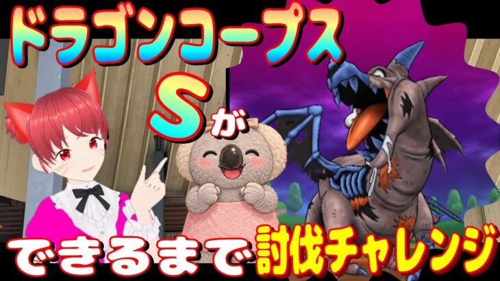 【ドラクエウォーク】ドラゴンコープスのSができるまで！