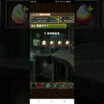 【パズドラ】パズドラパスフェス限確定ガチャ5連引く（2026年8月編）