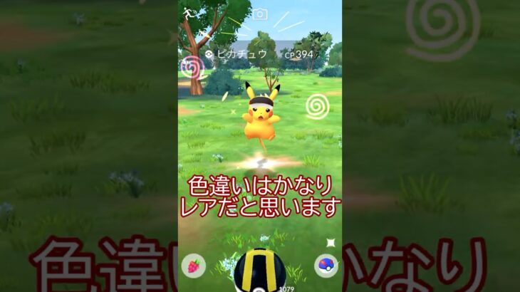 ⚠️限定入手‼️マラソンピカチュウ個体値ガチャ🐭✨ #ポケモンgo #pokemongo #pokemongoshorts