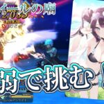 【FGO】 地獄の試練にアンリマユ単騎で挑んでみる！ 無敵貫通&特攻の最強礼装で攻略！！【Fate/Grand Order】【アズライールの廟】