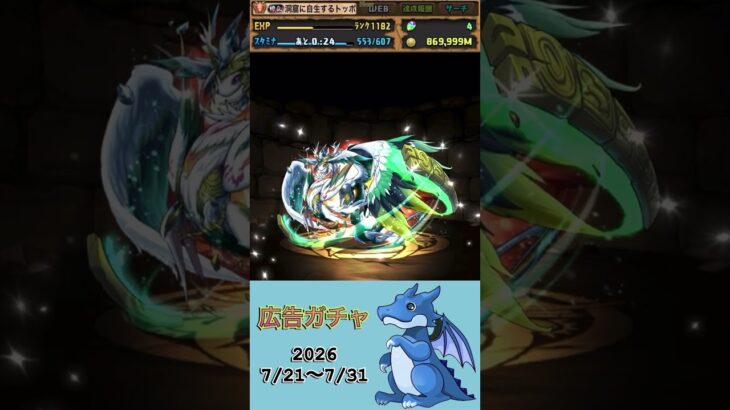 [パズドラ]  広告ガチャ　2026/7/21〜7/31