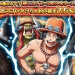 【トレクル】 トレジャースゴフェス！！「エース＆リトルオーズJr.」第3弾【ONE PIECE】【トレジャークルーズ】