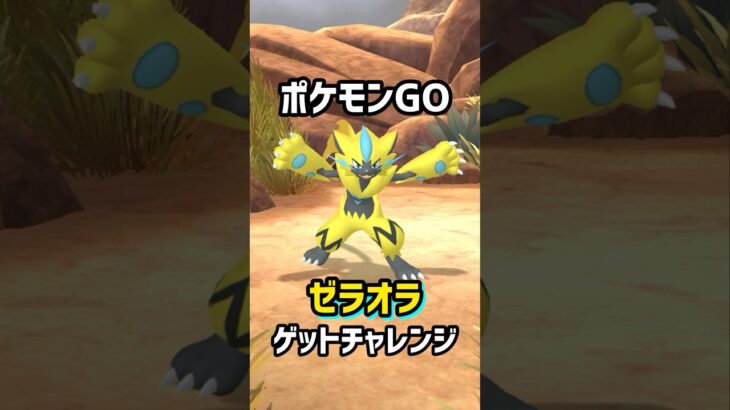 【ポケモンGO】ゼラオラゲットチャレンジ！！果たして個体値は⁉︎#ポケモン #ポケモンgo #ポケgo