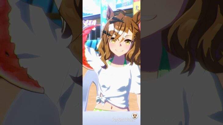 ウマ娘 プリティーダービー ジャングルポケットとウマさんぽ 夏休みver