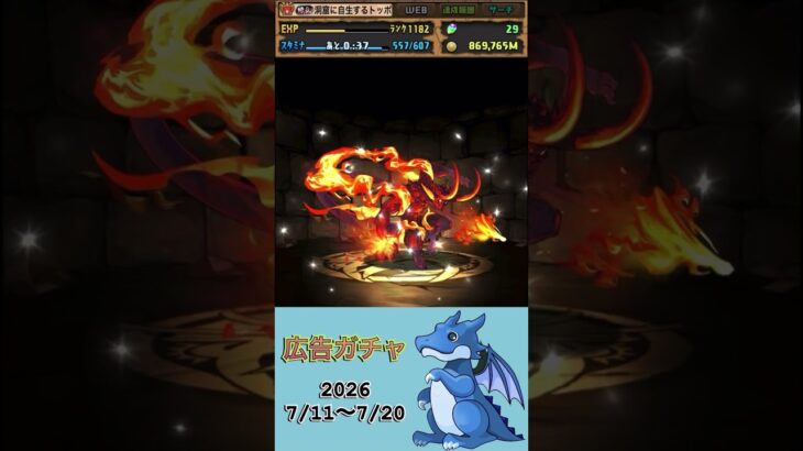 [パズドラ]  広告ガチャ　2026/7/11〜7/20