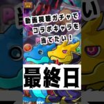 動画視聴ガチャでコラボキャラを当てたい！最終日　#パズドラ #コードギアス  #コラボ