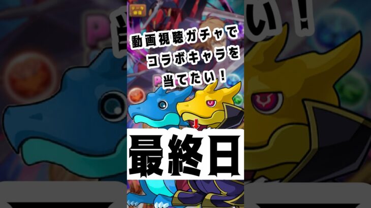動画視聴ガチャでコラボキャラを当てたい！最終日　#パズドラ #コードギアス  #コラボ