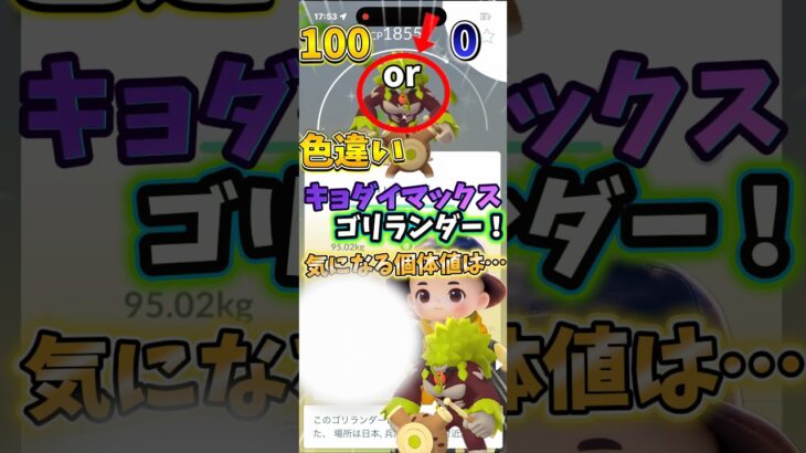【ポケモンGO】色違いキョダイマックスゴリランダーが出たー！気になる個体値は…！ #ポケモン #ポケモンgo #shorts #shortsfeed #shortsvideo #shortvideo