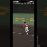 中弾道、高弾道の強化はホンモノか… #ガチャ #プロスピa #プロスピ切り抜き #ゲーム実況 #ガチャ神引き #プロスピ #野球 #ショートで応援 #ゲーム #パチスロ #プロ野球 #甲子園