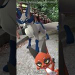 クスネ｜Nickit｜フォクスライ｜Thievul｜GOphotobomb｜Shiny Pokémon【ポケモンGO】AR動画｜PoKeMoN GO AR｜#Shorts