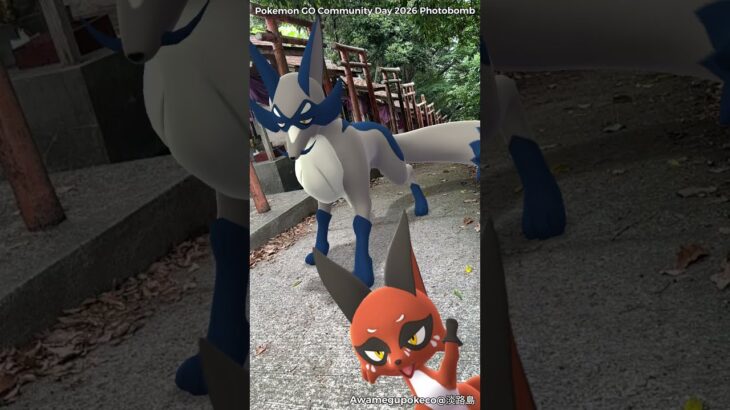 クスネ｜Nickit｜フォクスライ｜Thievul｜GOphotobomb｜Shiny Pokémon【ポケモンGO】AR動画｜PoKeMoN GO AR｜#Shorts