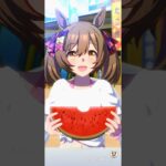 ウマ娘 プリティーダービー スマートファルコンとウマさんぽ 夏休みver