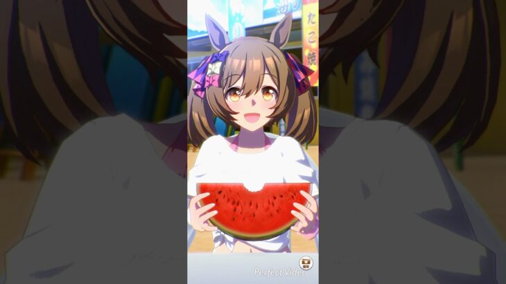 ウマ娘 プリティーダービー スマートファルコンとウマさんぽ 夏休みver