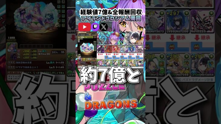 【＃パズドラ】夏休みセッカ無し！！新キャラ無しでアイランドコロシアム周回して経験値7億！！