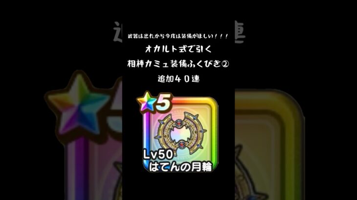 【ドラクエウォーク】相棒カミュ装備ふくびき②【オカルト式】