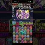 協力！ノーランド&ファウルバウト 降臨! 白のキング ∞級 　#パズドラ　#パズル　#降臨　#イベント #ギアス　#コードギアス　#コード