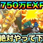 【ドラクエウォーク】経験値ドバドバでウマすぎる！！時給750万経験値でやばいので絶対やって下さい。