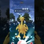 【ポケモンGO】ついにガラルサンダーの色違いが出た！！　#ポケモンgo #色違い #ガラルサンダー #ポケモン #shorts