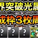 【パズドラ】育成枠3枚,ゼルクレアのプラス上げできます！巨大希石などを集めよう！全敵対応！魔夏の+限界突破コロシアム！光の修練空間！1周4~5分台！ラインハルト編成でプラス上げ周回！