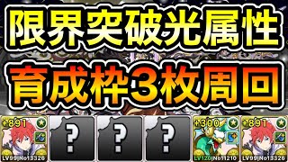 【パズドラ】育成枠3枚,ゼルクレアのプラス上げできます！巨大希石などを集めよう！全敵対応！魔夏の+限界突破コロシアム！光の修練空間！1周4~5分台！ラインハルト編成でプラス上げ周回！