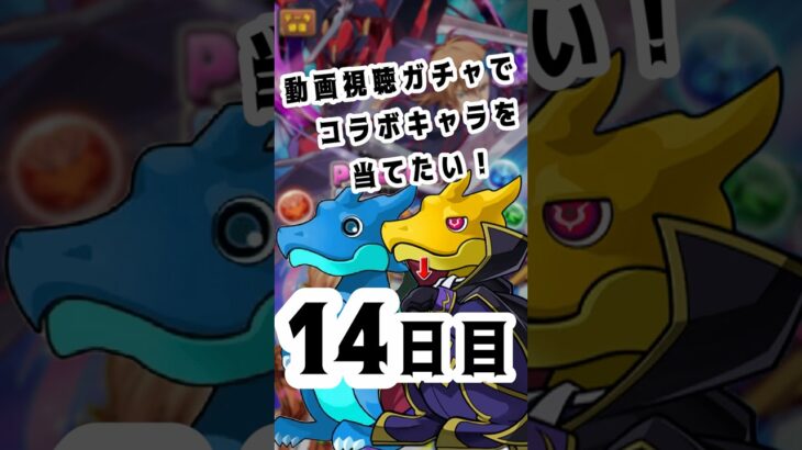 動画視聴ガチャでコラボキャラを当てたい！14日目　#パズドラ #コードギアス  #コラボ