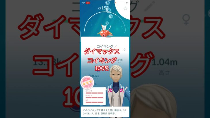 ダイマックス　コイキング　100%　ポケモンGO