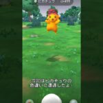 【ポケモンGO】あわわ💦…いつの間にかこんなに期間が空いてるとは思わなかった💦 #ポケモンgo #色違い #ピカチュウ #ポケモン #shorts