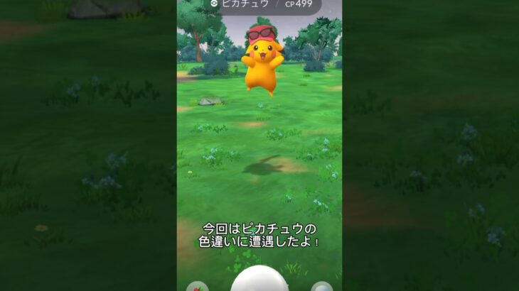 【ポケモンGO】あわわ💦…いつの間にかこんなに期間が空いてるとは思わなかった💦 #ポケモンgo #色違い #ピカチュウ #ポケモン #shorts