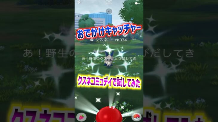 【ポケモンGO】おでかけキャッチャーをクスネコミュニティデイで試してみらた100％個体や色違いも背景もGETできたから印象良いけどGOプラプラが一番便利で使いやすいね#ポケモン#ポケモンgo#ポケGO
