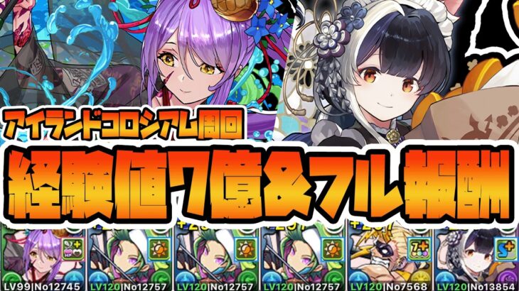 【＃パズドラ】シールド2枚破壊無し！！新キャラ無しでアイランドコロシアム周回して経験値7億！！