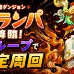 ブランパ降臨(アシスト無効)を虚ループで安定攻略【パズドラ】
