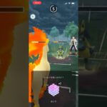 夏休みキッズ狩り講座　#ポケモンGO　#スーパーカップ　Anti-Meta Guide 　#pokemongo #gobattleleaguepvp