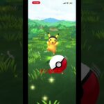 ポケモンGOマラソンピカチュウやっとゲットしたぜ！