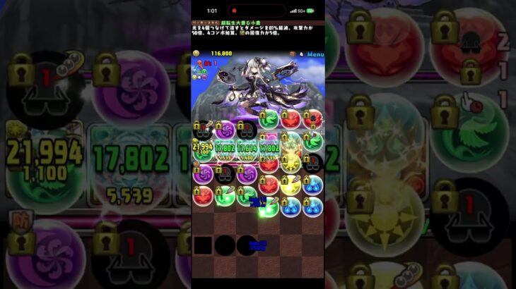 【パズドラ】試練ダンジョン・中華神試練の間【ノーコン】#大喬&小喬　#パズドラ　#試練　#ダンジョン　#試練ダンジョン