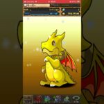 パズドラ　トランプ　ガチャ