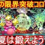 真夏の限界突破コロシアムで鍛えよう！【パズドラ】