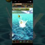 昼間のツリット🎣　　#釣り　#ツリット　#パズドラ　#パズル　#ガチャ　#イベント　#夏休み