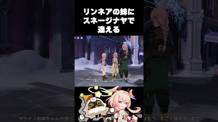 リンネアの妹にスネージナヤで逢える😸原神