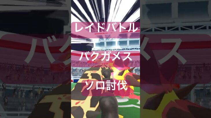 バクガメスのレイドバトル参戦動画/ソロ討伐 #ポケモンgo #pokemongo