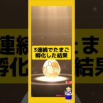 3連続のたまご孵化結果！歩いた成果は？#ポケモンgo