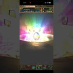 トランプキングダムフェスガチャ10連　#パズル　#パズドラ　#ガチャ　#無料　#報酬　#トランプ　#キングダム　#夏休み　#イベント