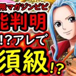 [トレクル]周年記念フェス限ビビ性能判明! おいおい嘘だろ!? とんでもない性能!!!!?[OPTC][sugo fest]